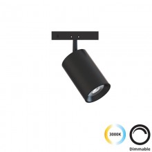 Luminile pt Sina Magnetica Micro