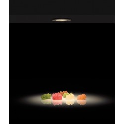 Spot Incastrat Dot E3949090N ACB LED, Negru, Spania