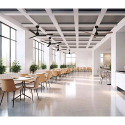 Ventilator Gregal V2520041N ACB Negru, Spania