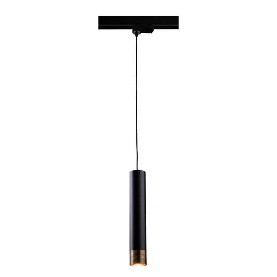 Pendul Pe Sina EIDO 8276(0350) Amplex, GU10, Negru, Polonia