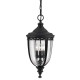 Pendul Exterior English Bridle Feiss de la Elstead E14, Negru, Fe-Eb8-L-Blk, UK