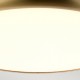 Plafoniera Welland de la Elstead LED, Alama, Welland-F-S-Ab, UK