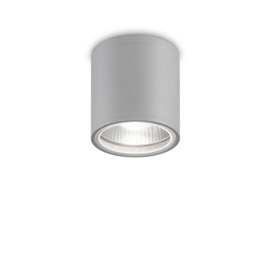 Plafoniera Exterior Ideal Lux Gun Pl1 Grigio Gu10, Gri, 163642, Italia