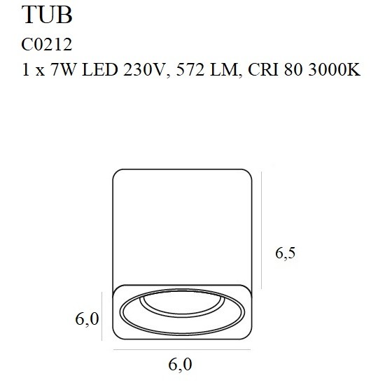 Spot Aplicat TUB C0212 Max Light LED, Negru, Polonia