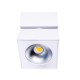 Spot Aplicat ARTU C0106 Max Light LED, Alb, Polonia