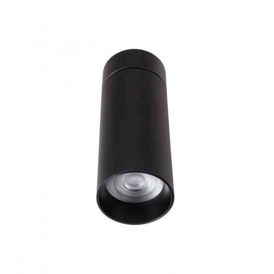 Spot Aplicat HALO C0246 Max Light LED, Negru, Polonia
