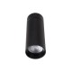 Spot Aplicat HALO C0246 Max Light LED, Negru, Polonia