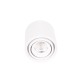 Spot Aplicat FIX C0256 Max Light LED, Alb, Polonia