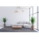 Suspensie CONCEPT P0454 Max Light E27, Auriu, Polonia