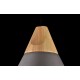 Pendul  Bicones Maytoni E27, Negru, P359-PL-220-C, Germania
