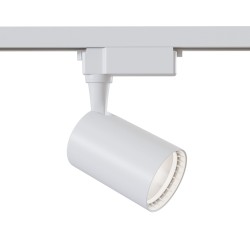 Downlight Sina 1 Faza Maytoni Led, Alb, TR003-1-12W4K-W, Germania