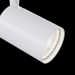 Downlight Sina 1 Faza Maytoni Led, Alb, TR003-1-12W4K-W, Germania