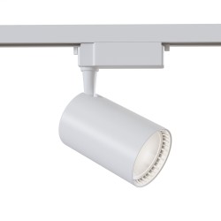 Downlight Sina 1 Faza Maytoni Led, Alb, TR003-1-30W4K-W, Germania