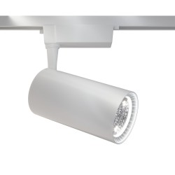 Downlight Sina 1 Faza Maytoni Led, Alb, TR003-1-40W3K-W, Germania
