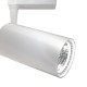 Downlight Sina 1 Faza Maytoni Led, Alb, TR003-1-40W3K-W, Germania