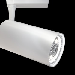 Downlight Sina 1 Faza Maytoni Led, Alb, TR003-1-40W3K-W, Germania