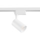 Downlight Sina 1 Faza Maytoni Led, Alb, TR003-1-6W3K-W, Germania