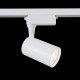 Downlight Sina 1 Faza Maytoni Led, Alb, TR003-1-6W3K-W, Germania