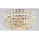 Aplica  Basfor Maytoni E14, Auriu, DIA100-WL-02-G, Germania