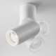 Downlight Aplicat Dafne C027CL-L10W4K Maytoni LED, Alb, Germania