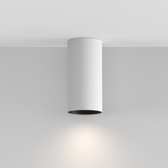 Downlight Aplicat Artisan C080CL-01-GU10-W Maytoni GU10, Alb, Germania