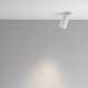 Downlight Incastrat Artisan C081CL-01-GU10-W Maytoni GU10, Alb, Germania