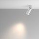Downlight Aplicat Artisan C082CL-01-GU10-W Maytoni GU10, Alb, Germania