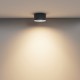 Downlight Aplicat Vega C089CL-15W3K-B Maytoni LED, Negru, Germania