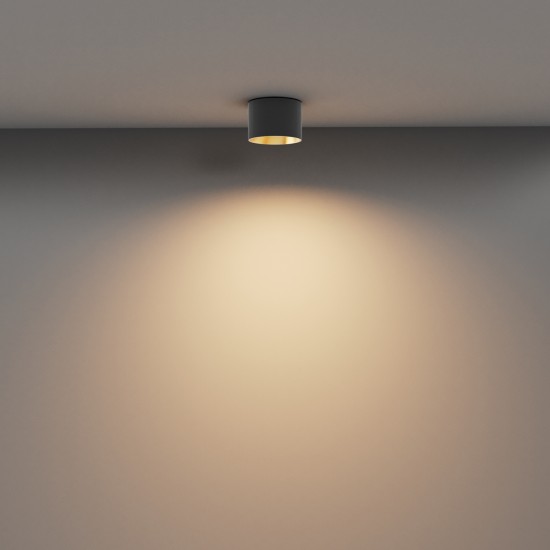 Downlight Aplicat Vega C089CL-8W3K-BMG Maytoni LED, Auriu, Germania