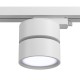 Downlight Sina 1 Faza ONDA Maytoni LED, Alb, TR007-1-12W4K-W, Germania
