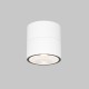Plafoniera Exterior Spin O310CL-L5W3K Maytoni LED, Alb, Germania