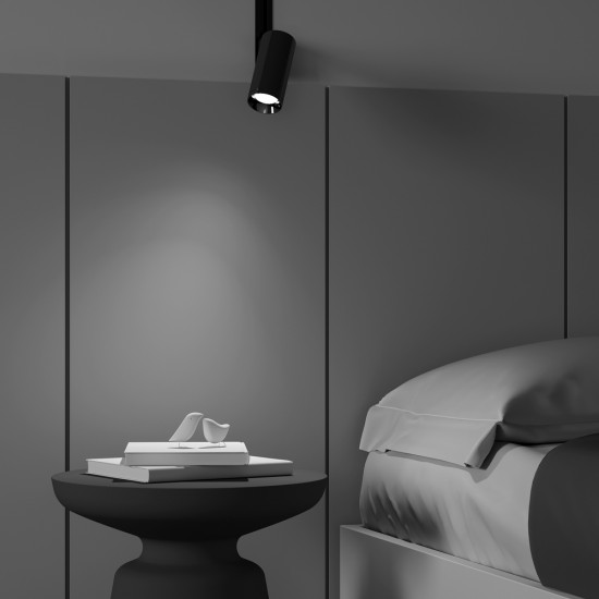 Downlight Sina 1 Faza Focus TR004-1-GU10-GF Maytoni GU10, Grafit, Germania