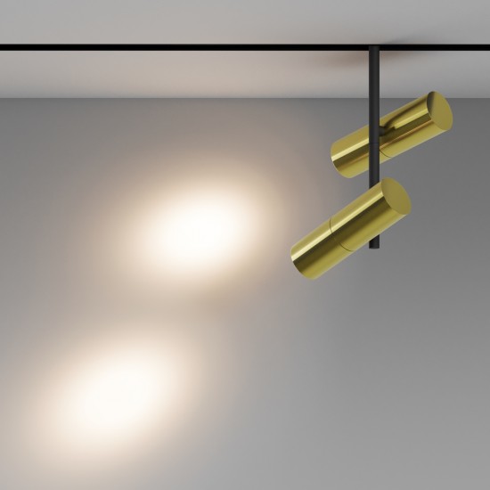 Downlight Sina Magnetica Elti Duo TR005-2-2X12W3K-BBS Maytoni LED, Negru, Germania