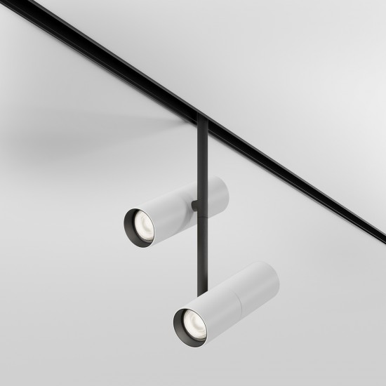 Downlight Sina Magnetica Elti Duo TR005-4-2X12W-DS-BW Maytoni LED, Alb, Germania