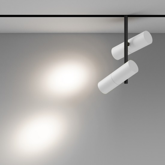 Downlight Sina Magnetica Elti Duo TR005-4-2X12W-DS-BW Maytoni LED, Alb, Germania