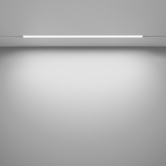 Downlight Sina Magnetica Basis TR030-4-24W3K-WW-DS-W Maytoni LED, Alb, Germania