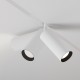 Downlight Sina Magnetica Focus LED TR032-2-20W4K-S-W Maytoni LED, Alb, Germania