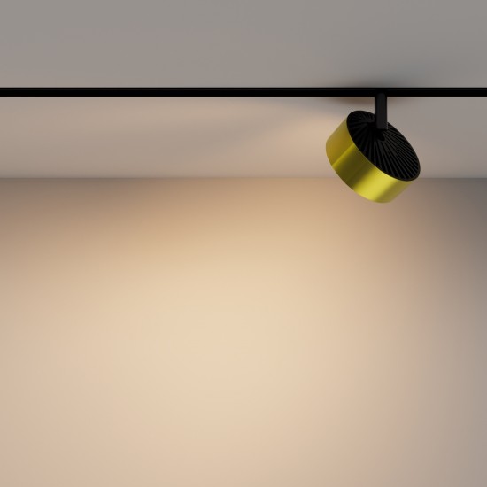 Downlight Sina Magnetica Rado TR040-2-18W3K-BBS Maytoni LED, Negru, Germania