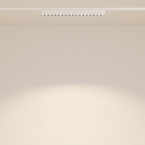 Downlight Sina Magnetica Slim Points TR082-1-18W3K-M-W Maytoni LED, Alb, Germania