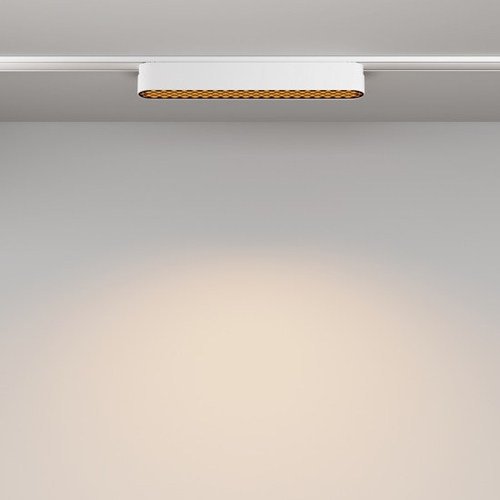 Downlight Sina Magnetica Slim Basis Grid TR084-1-12W3K-W Maytoni LED, Alb, Germania