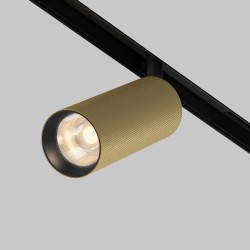Downlight Sina Magnetica Artisan TR097-2-12W3K-M-BMG Maytoni LED, Auriu, Germania