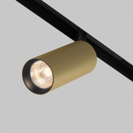Downlight Sina Magnetica Artisan TR097-2-12W3K-M-BMG Maytoni LED, Auriu, Germania