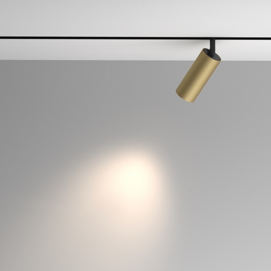 Downlight Sina Magnetica Artisan TR097-2-12W4K-M-BMG Maytoni LED, Auriu, Germania