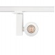 Spot Sina 3 Faze Ctls Nea Led 20W 8756 Nowodvorski LED, Alb, Polonia
