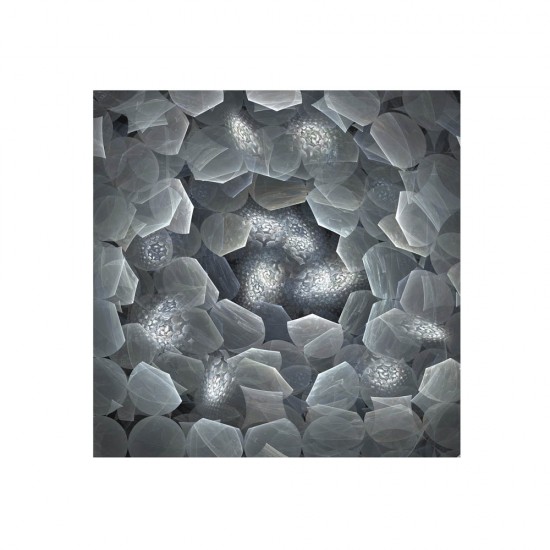 Tablou Decorativ Schuller ·Polaris· Photo, 120X120 257831 Spania