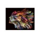 Tablou Decorativ Schuller ·Polycromy· Photo, 130X100 797603 Spania