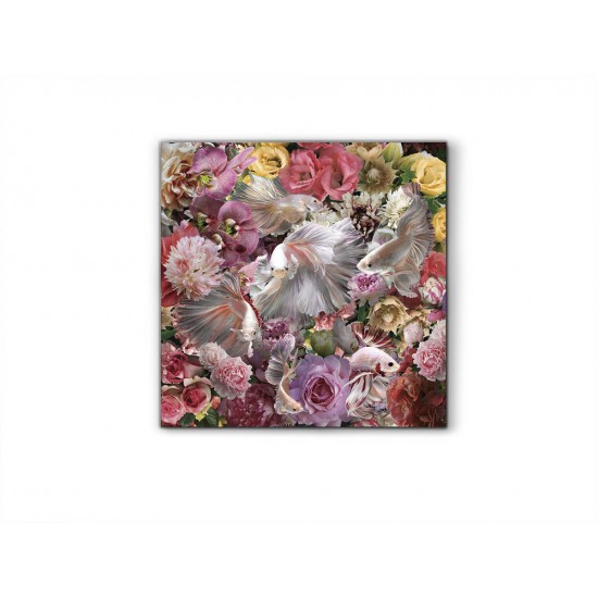 Tablou Decorativ Schuller ·Peces Luchador Siam· Photo, 120X120 987165 Spania