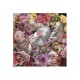 Tablou Decorativ Schuller ·Peces Luchador Siam· Photo, 120X120 987165 Spania