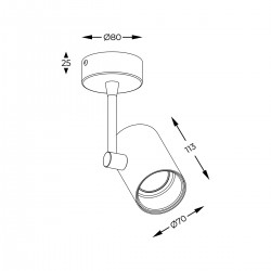 Downlight Aplicat TORI SL 1 BLACK-GOLD 20014-BK-N Zumaline GU10, Negru, Polonia