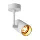 Downlight Aplicat TORI SL 1 WHITE-GOLD 20014-WH-N Zumaline GU10, Alb, Polonia